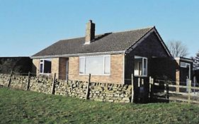 Harry's Hideaway Photos